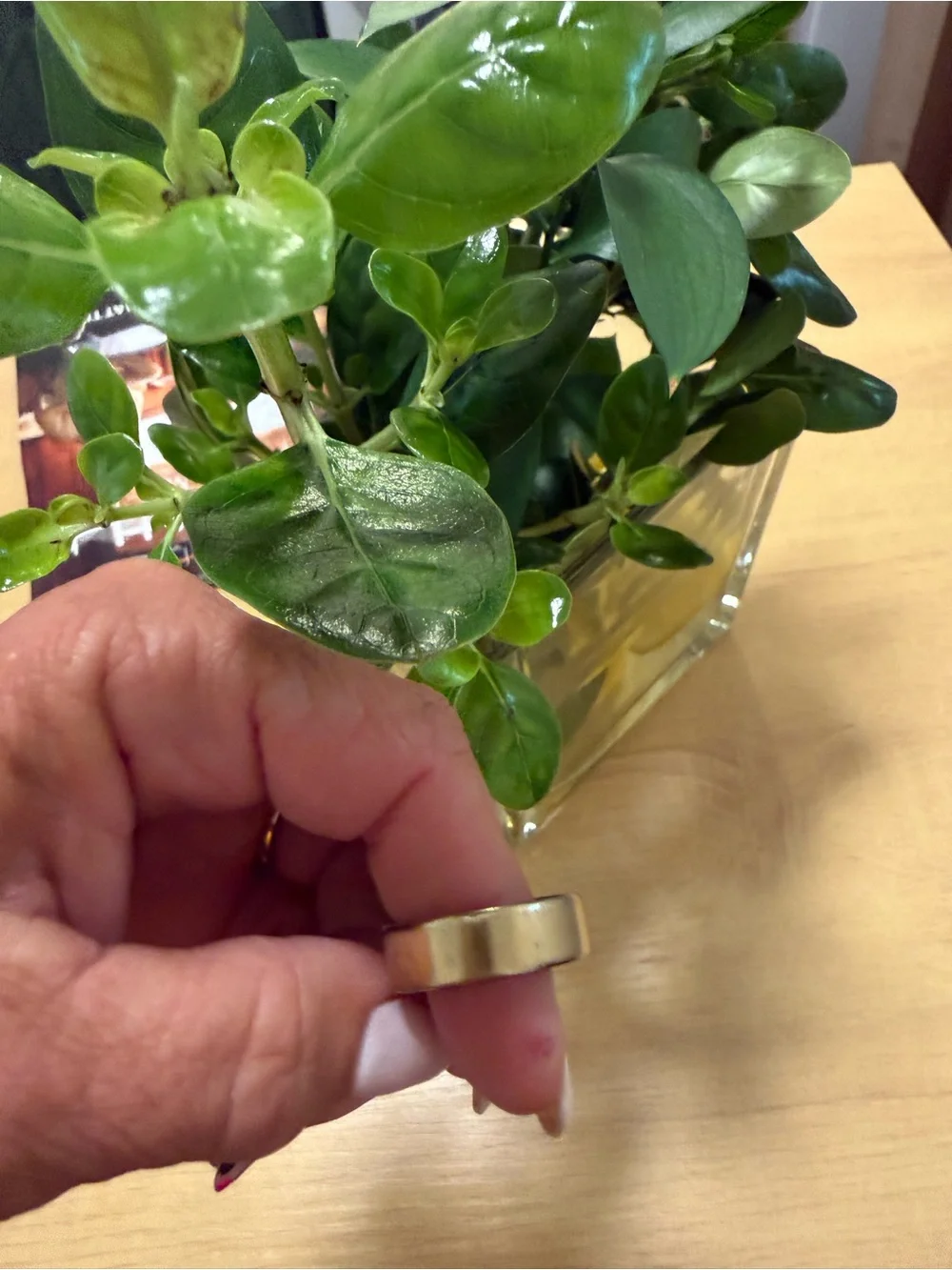 Oura Smart Ring - Gold Exterior with Silver Interior